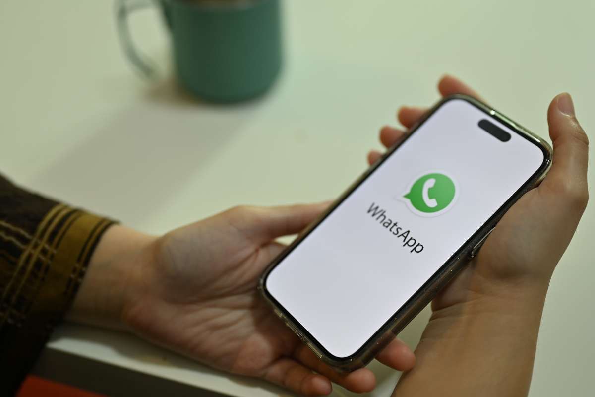 Fate così per recuperare un messaggio importante che avete perso su WhatsApp